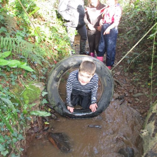 Stream Walk Challenge 1(1)